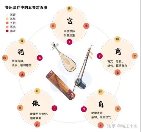 音乐五行属什么